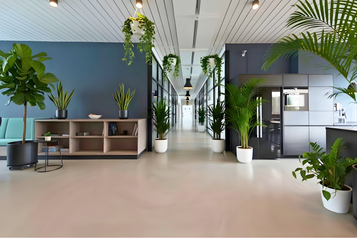 plantfinal1
